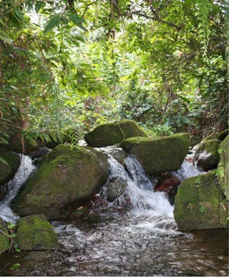 A stream in Makira