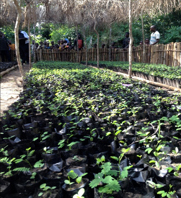 View of the Nursery built
